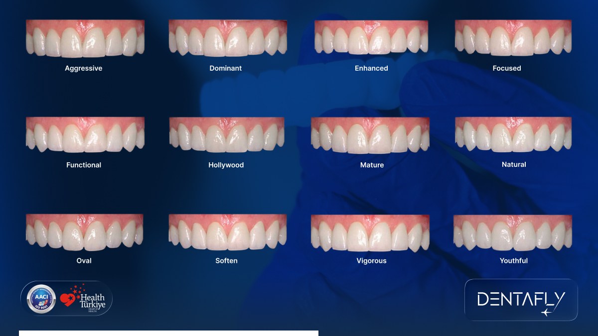 12 smile styles aesthetic identity aggressive dominant enhanced focused functional Hollywood mature natural oval soften vigorous youthful cosmetic dentistry Dentafly